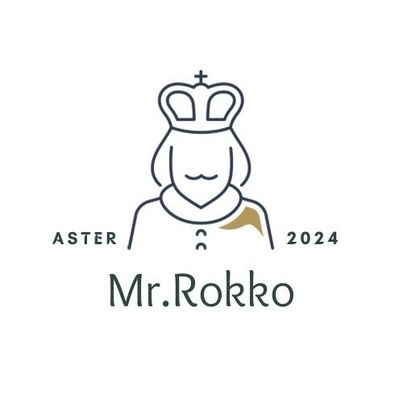 Mr.Rokko